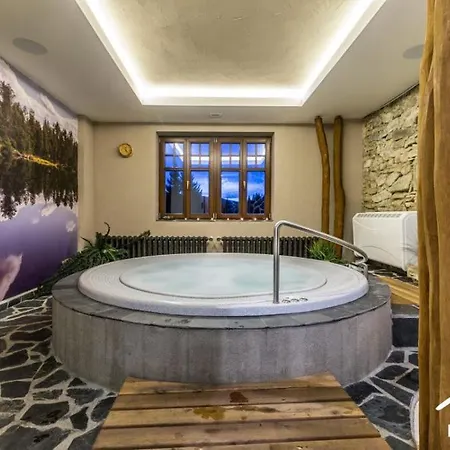 Szálloda Wellness Franz - Rejviz