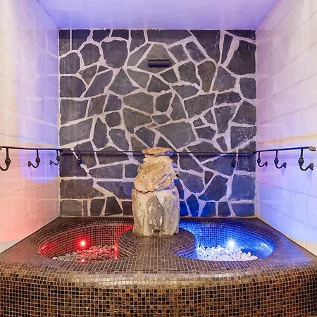Szálloda Wellness Franz - Rejviz 3*