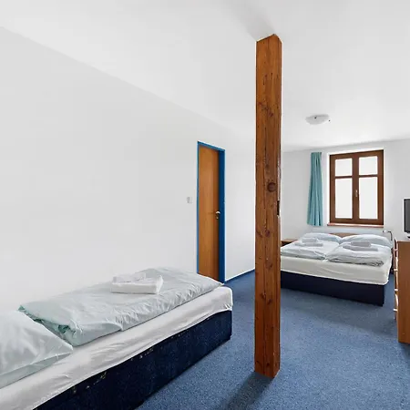 Hotel Wellness Franz - Rejviz 3*