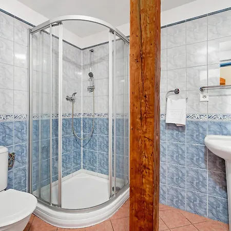 Hotel Wellness Franz - Rejviz Jeseník