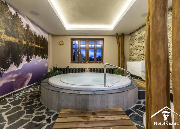 Hotel Wellness Franz - Rejviz