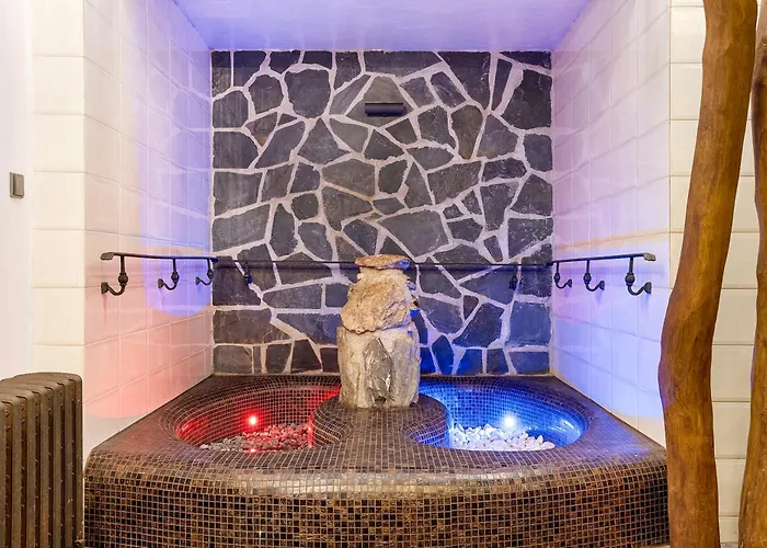 Hotel Wellness Franz - Rejviz 3*